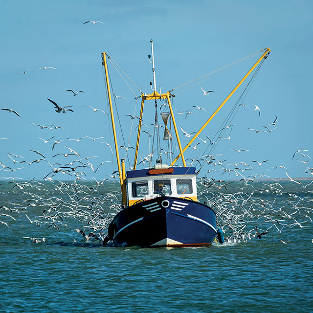 bateau de pèche en mer