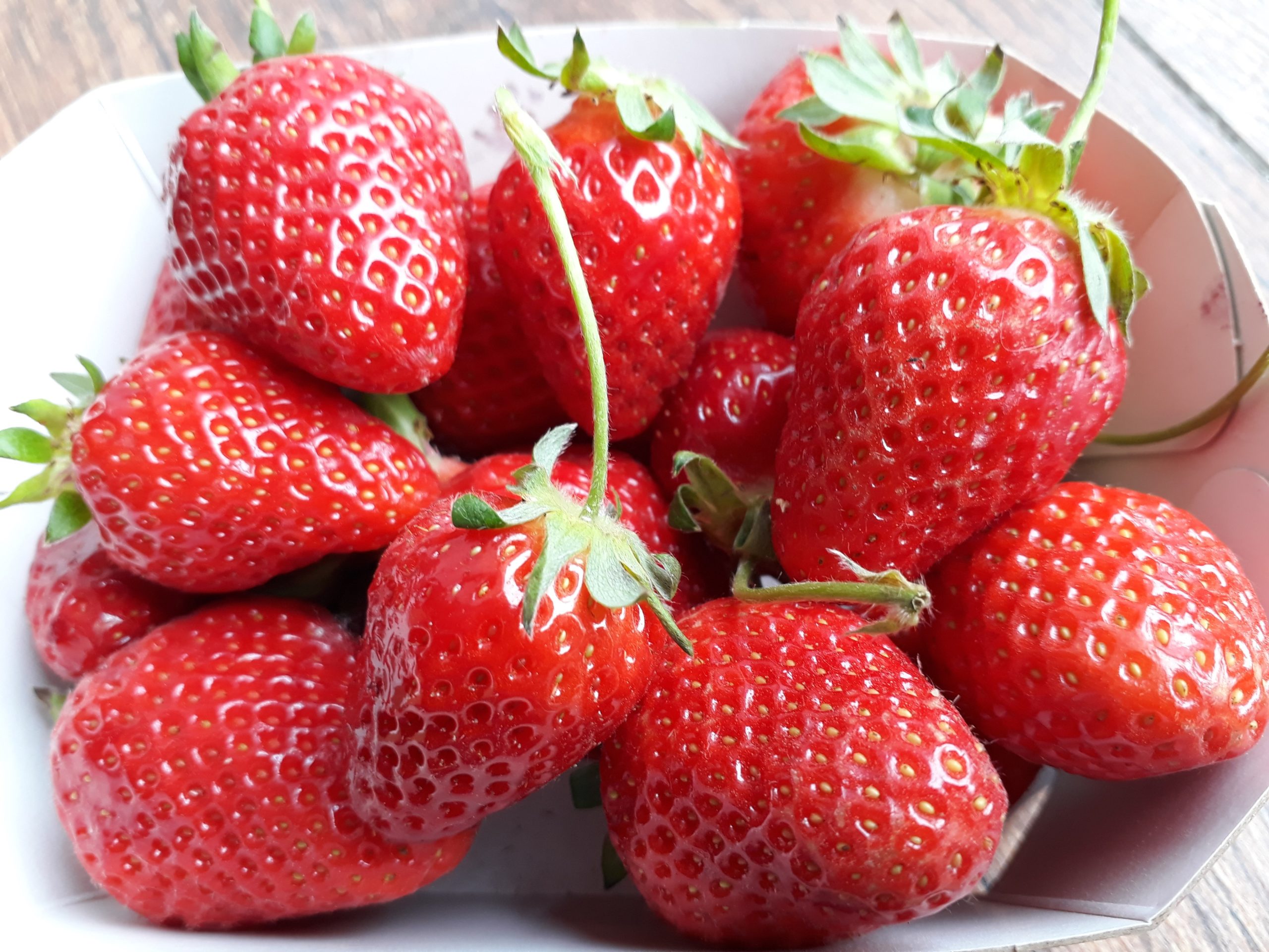 fraises Fruiterre