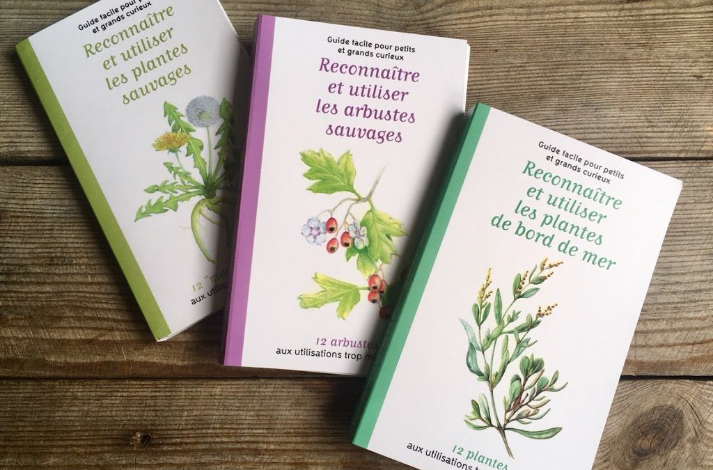 Plantes de bord de mer