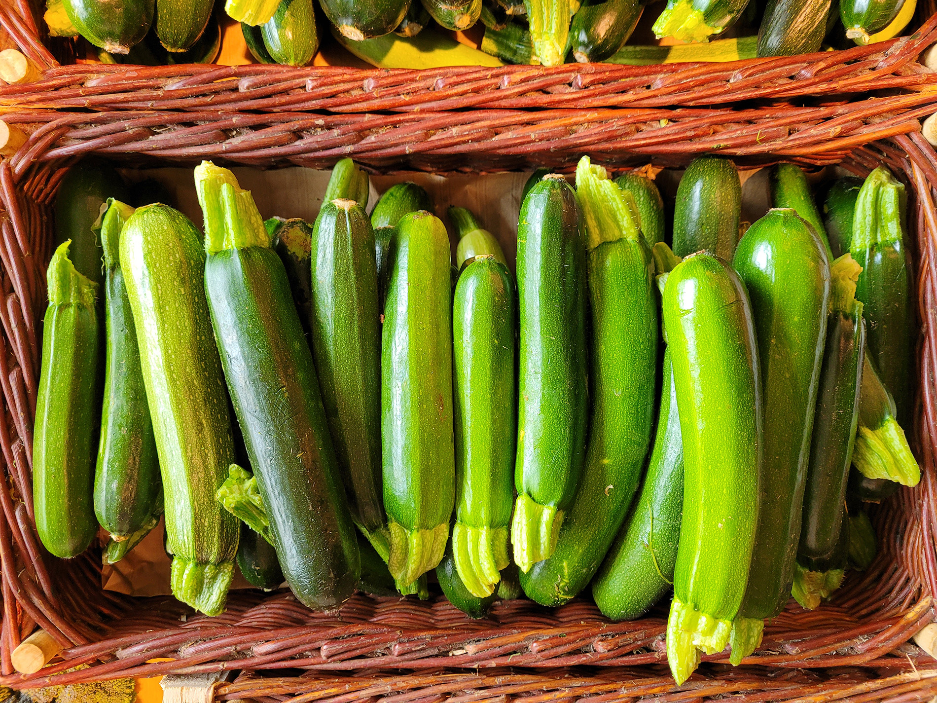 Courgettes en folie !