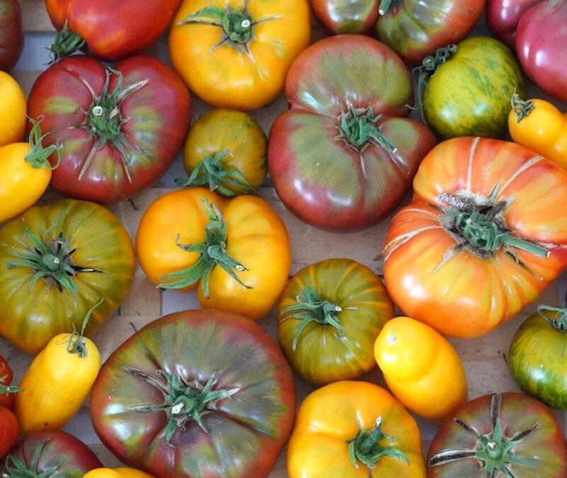 Tomates & oignons