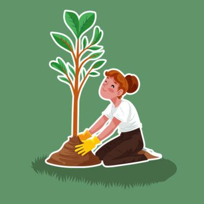 Plantes et plants