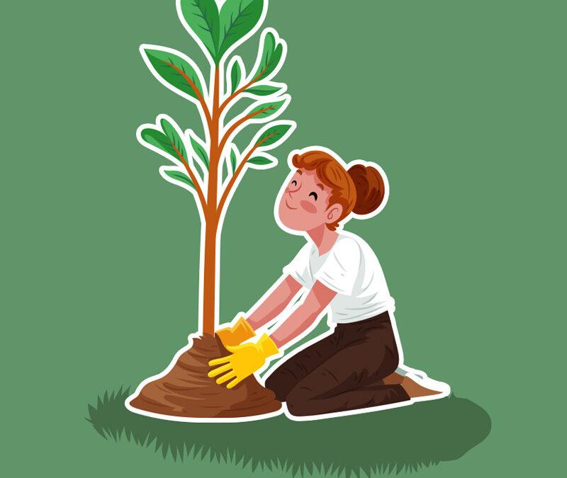 Plantes et plants