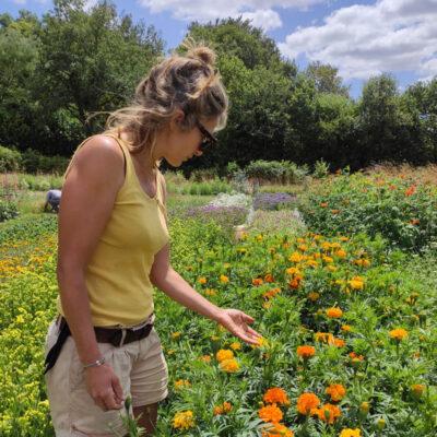 Fleurs bio