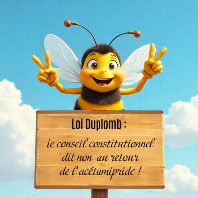 Loi Duplomb : censure du Conseil constitutionnel