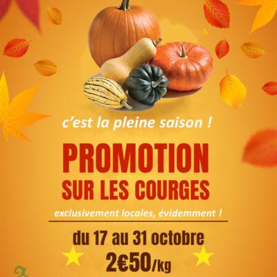 Courges en promo