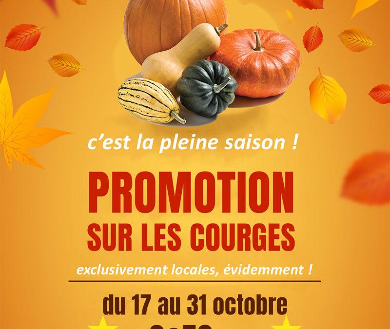Courges en promo