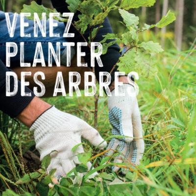 Venez planter des arbres