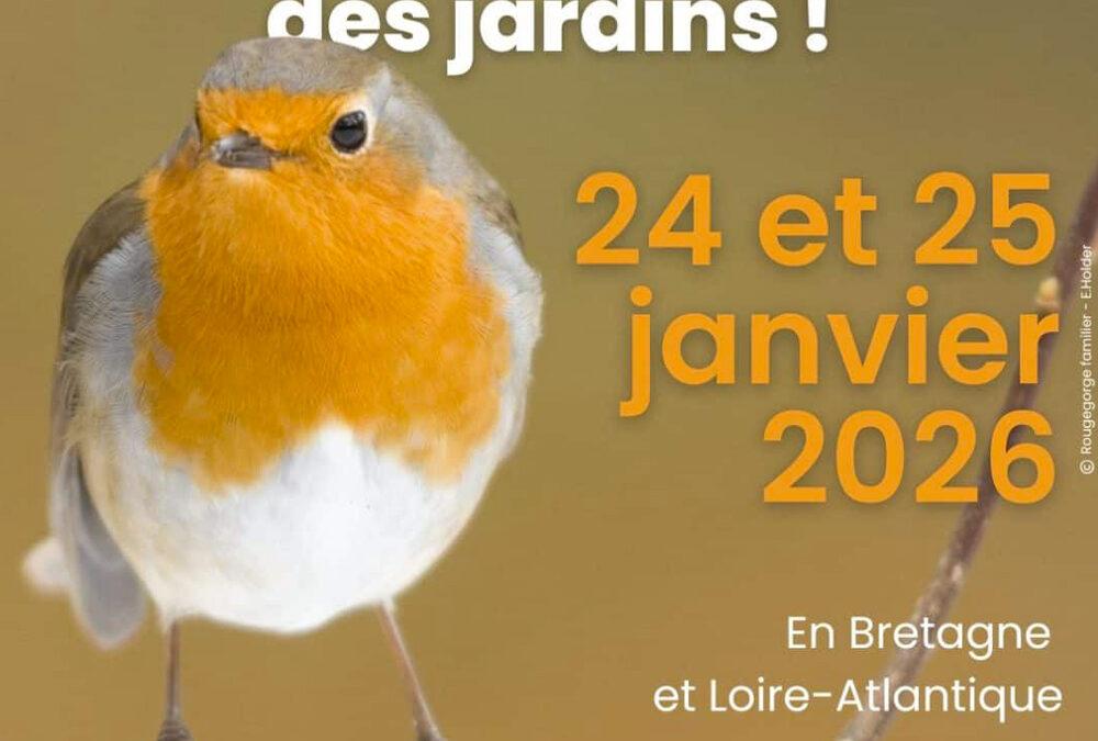 Comptage des oiseaux