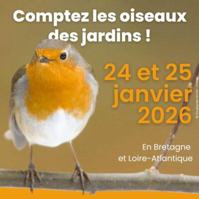 Comptage des oiseaux