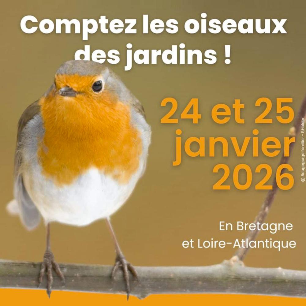 comptage oiseaux 2026