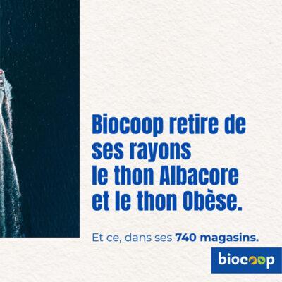 Non aux gros thons !