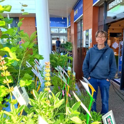 Quand planter ?