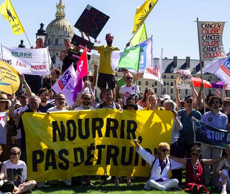 Pique-nique victimes des pesticides
