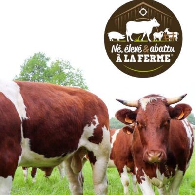 Soutenir AALVie56