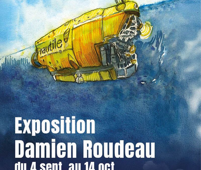 Expo Damien Roudeau